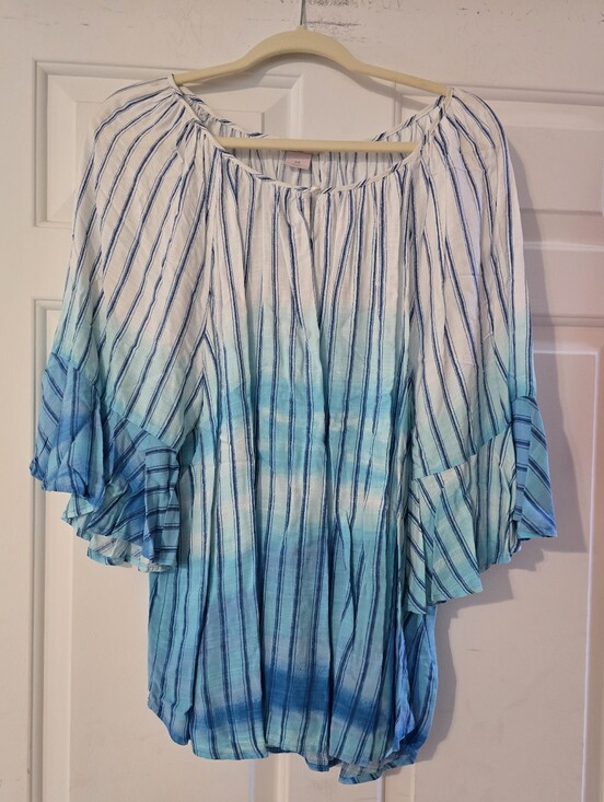 Allison Daley Tops - Allison Daley Blue Ombre Striped Peasant Top